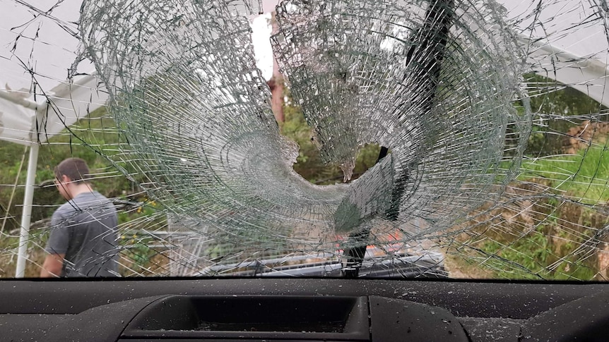 view from driver seat showing windscreen shattered with a branch through it