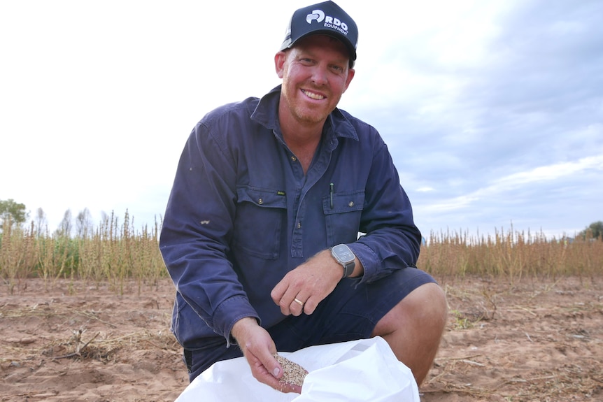 A man in a dark work shirt is kneeling while scooping a handful of seeds from a large bag. He's in a field that's harvested