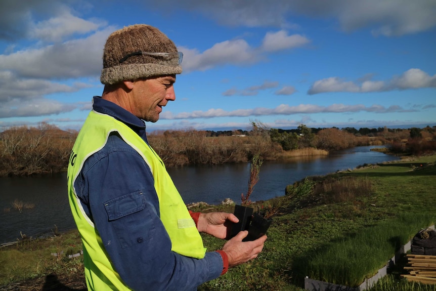A man wearing a hi-vis vest and beanie holds two small plants while standing near a river bank.