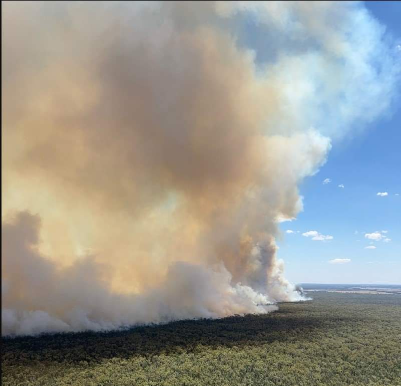 A cloud of smoke above a forest.