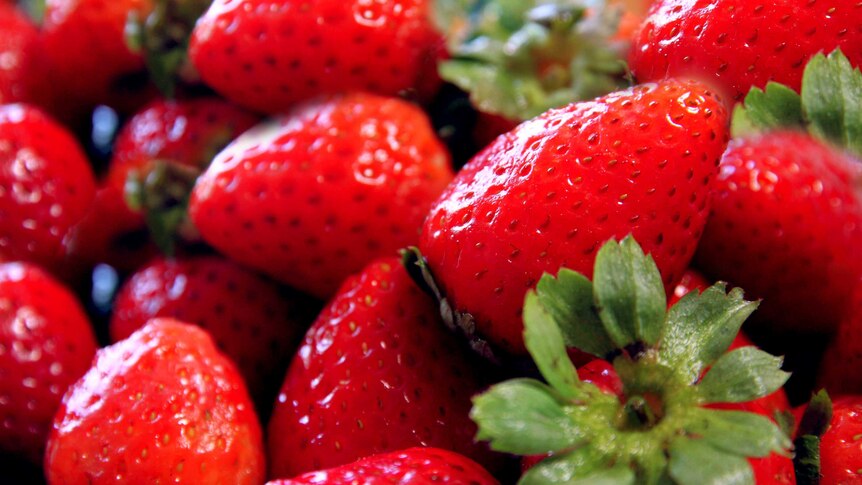 A close up photo of strawberries.