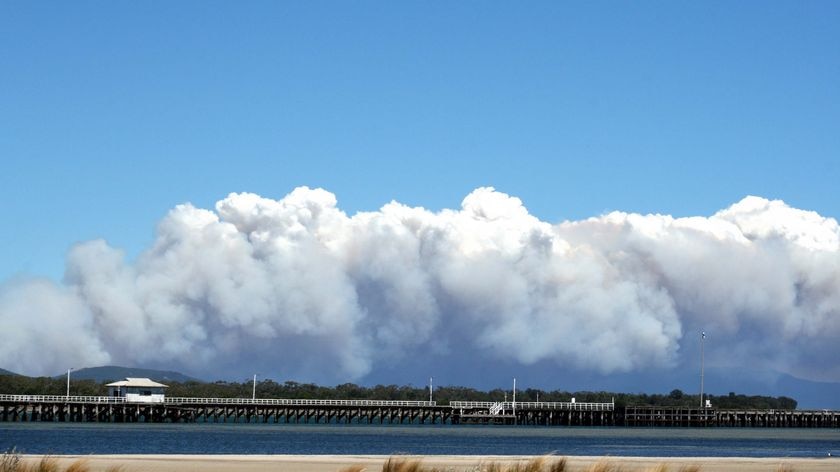 Smoke from the Wilsons Promontory bushfire rises into the sky