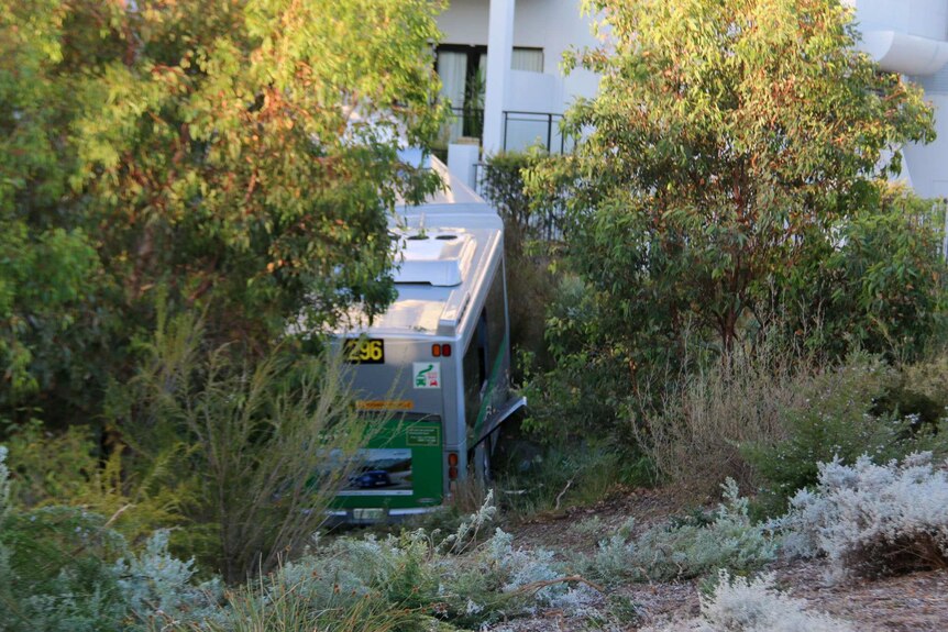 A bush crashed in bushes outside an apartment block.
