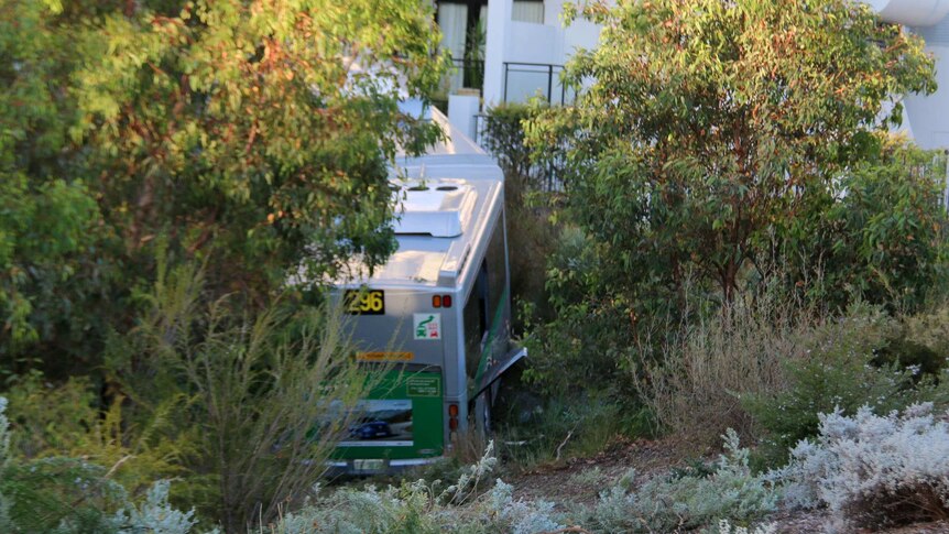 A bush crashed in bushes outside an apartment block.