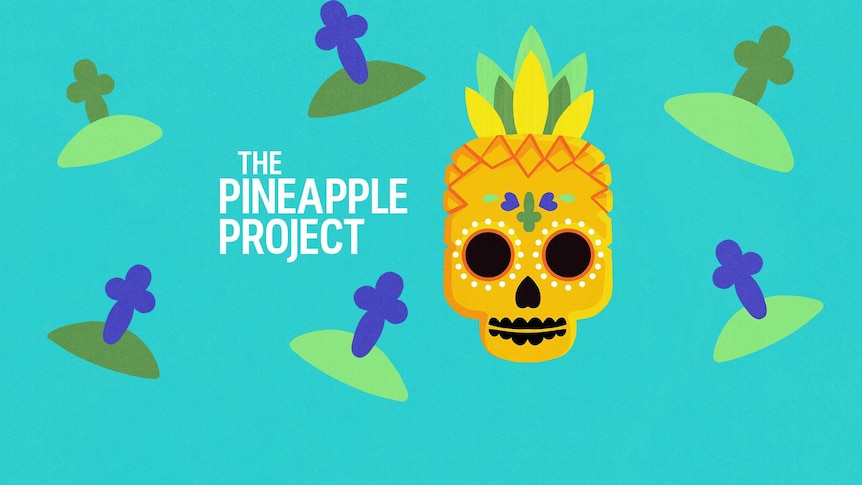 Colourful illustrations of pineapples