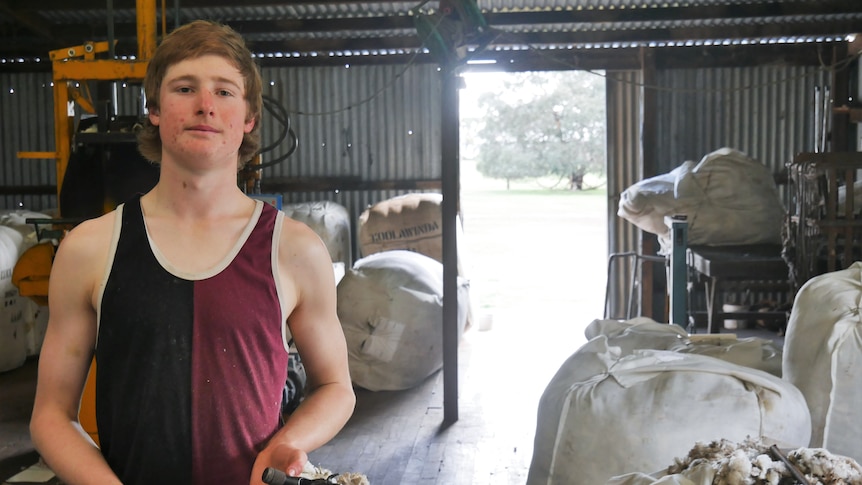 Boy holding clippers near wool bags