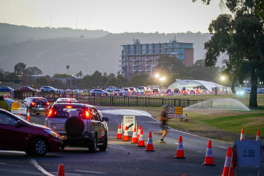 A colony of cars with break lights on waiting to get to a faraway testing hut.