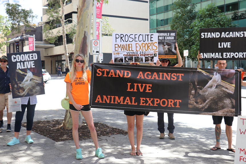 A group of people stand on a pavement holding signs protesting the live sheep trade