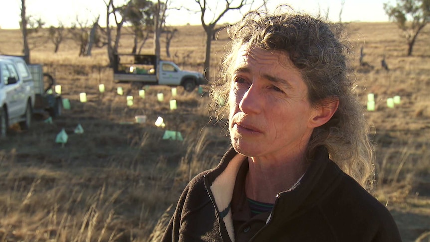 Woman out in the bush talking about dieback