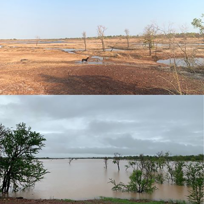 Composite photos of land before and after the rain at Normanton in north-west Queensland.