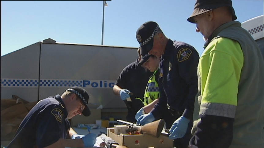 Tasmanian police examine guns being handed in.