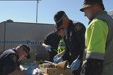 Tasmanian police examine guns being handed in.