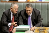 Opposition Leader Malcolm Turnbull (left) speaks treasury spokesman Joe Hockey