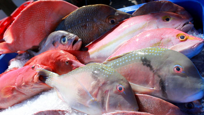 Is your favourite fish ethical and sustainable? - ABC listen