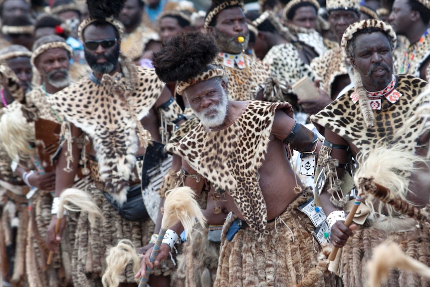 Dancers wearing leopard hides and synthetic capes designed to reduce demand for endangered animal skin.