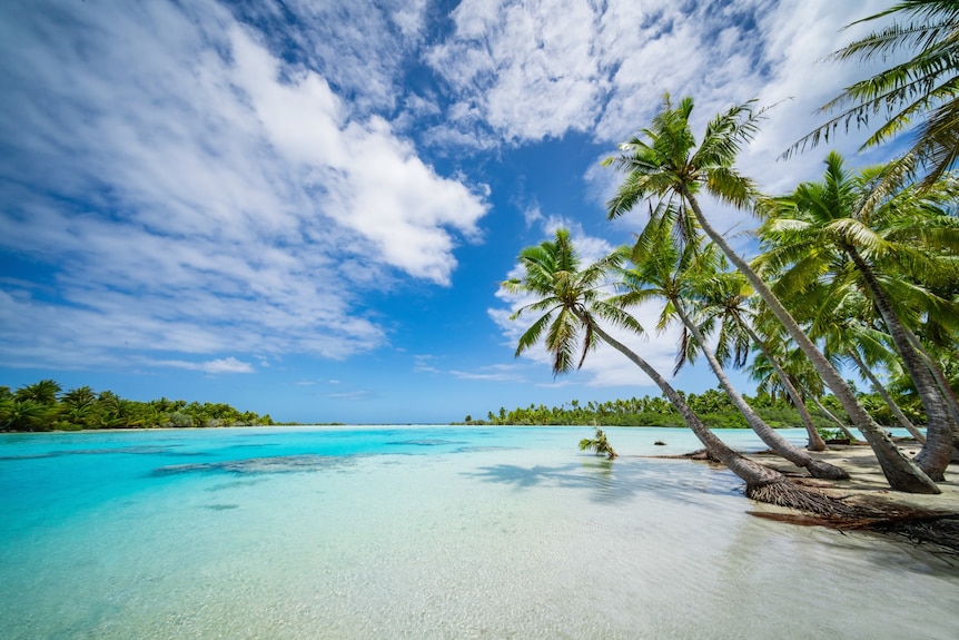Calm blue ocean, white sands and palm trees