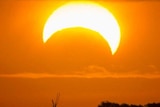 A partial solar eclipse creates a 'crescent sun' sun effect, date unknown.