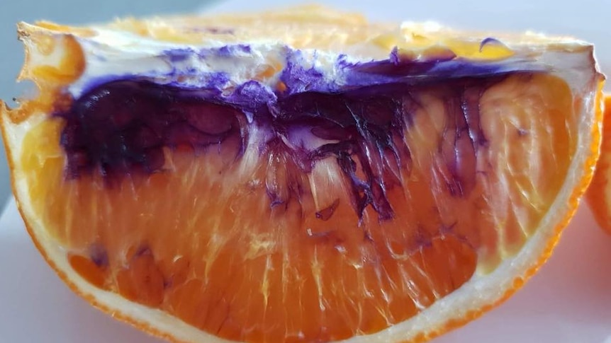 A slice of orange with purple on it