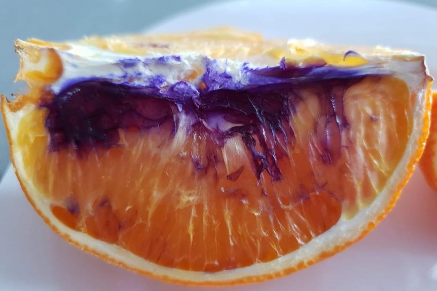 A slice of orange with purple on it