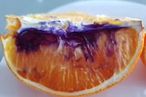 A slice of orange with purple on it