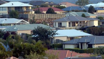 Houses in Australia (ABC News: Giulio Saggin)