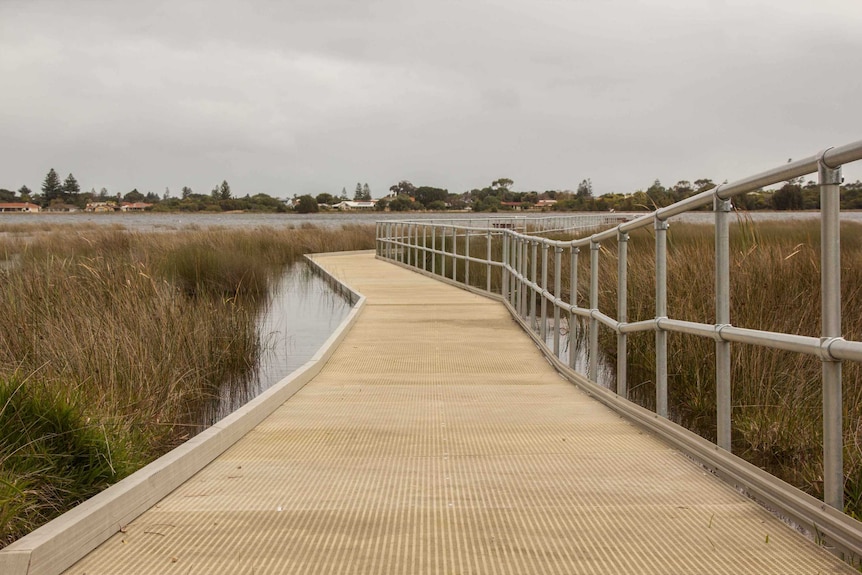 A boardwalk over Lake Richmond in Rockingham protects the thrombolites.