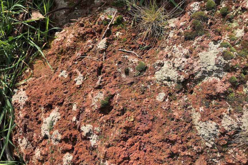 Photo of volcanic rock