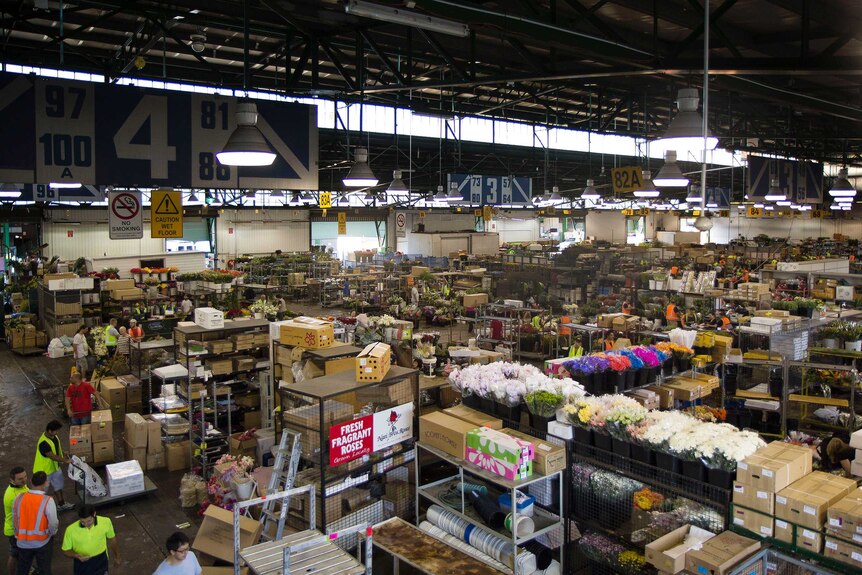 The Sydney Flower Market