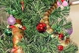 A tiger snake found on a Christmas tree in Frankston.