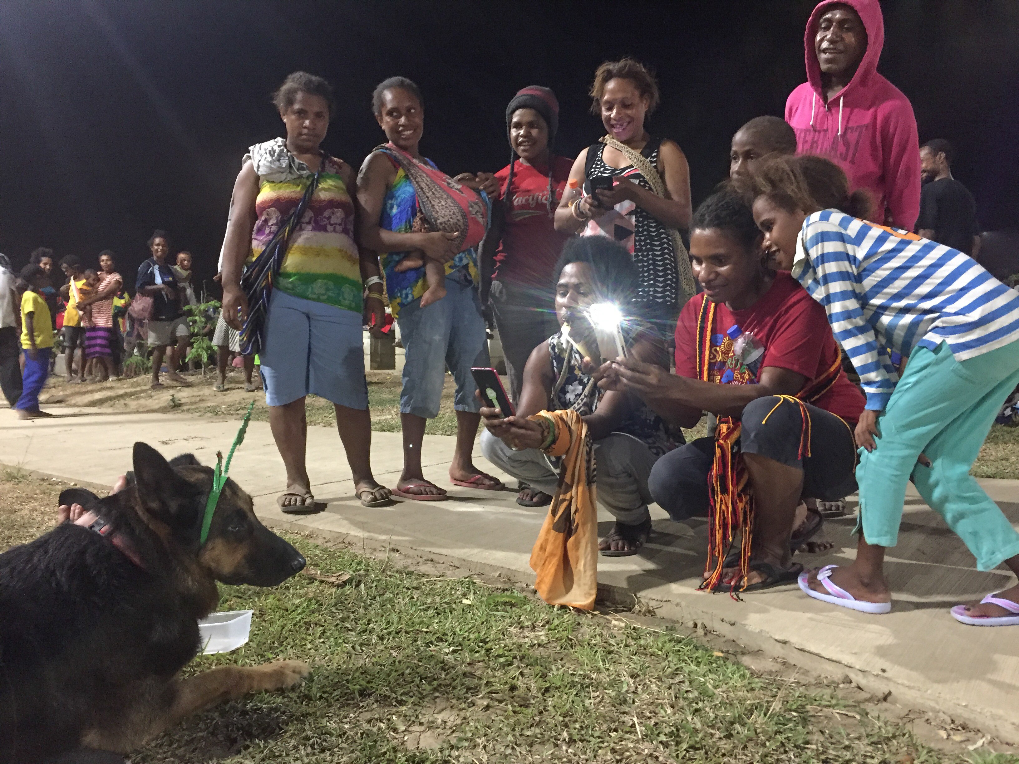 A German Shepherd sits down wearing a headband featuring two Christmas trees while her photo is taken by a crowd