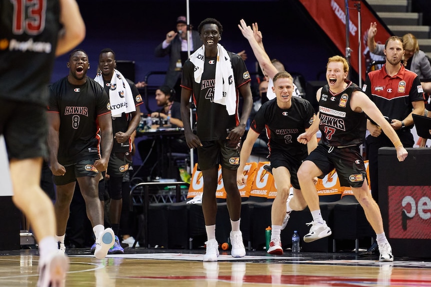 Los jugadores de banca de los Hawks saltan, sonríen y celebran en la banca.