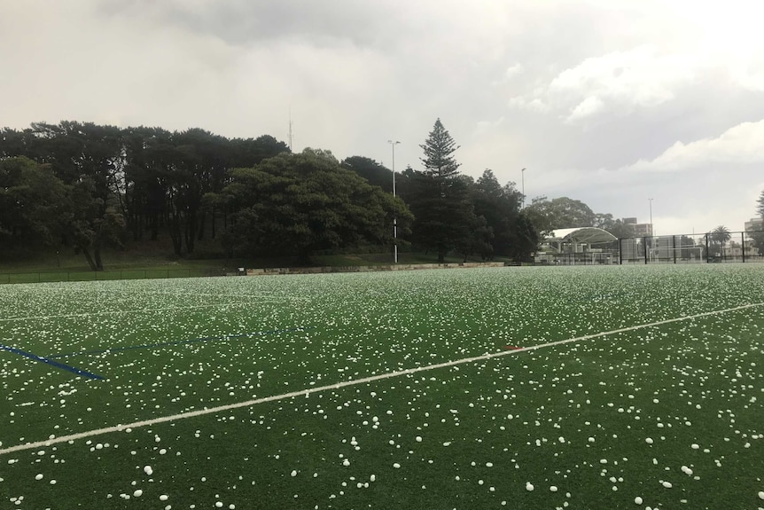 Hail in Bronte