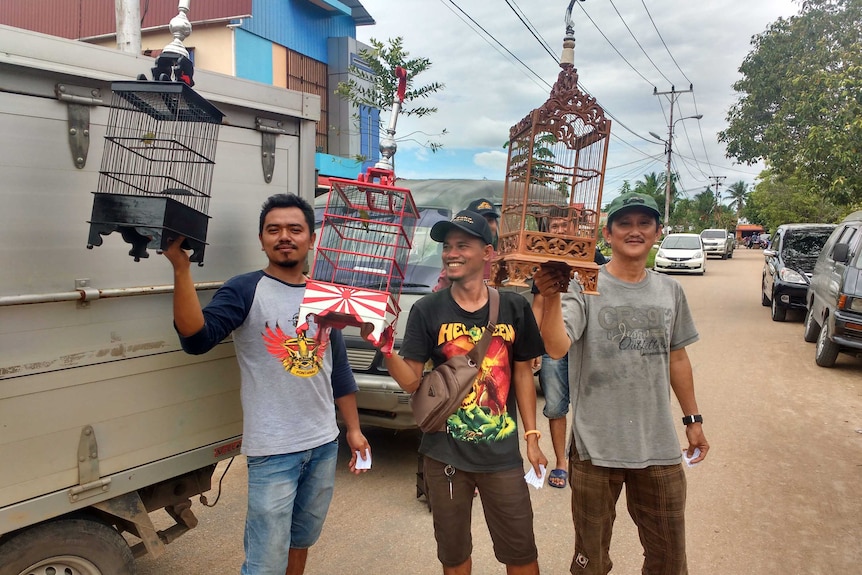 The Silent Forest: Songbirds ABC listen The Silent Forest: Songbirds ABC listen