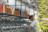 Worker at Tascot carpet factory, Devonport Tas.