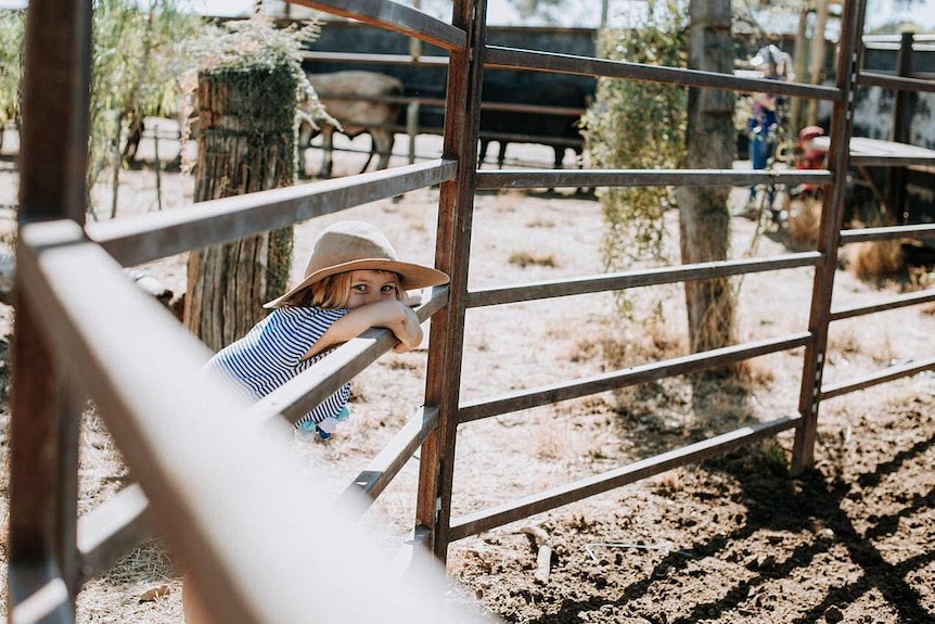 在昆士兰州Richmond附近的一个农场，一个乡村女孩在观看农场里的各项工作。