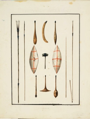 Illustration of items collected on Baudin's expedition