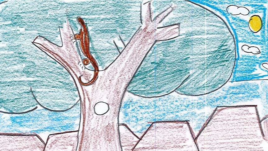 A child's drawing of tree with a goanna in it and red hills in background