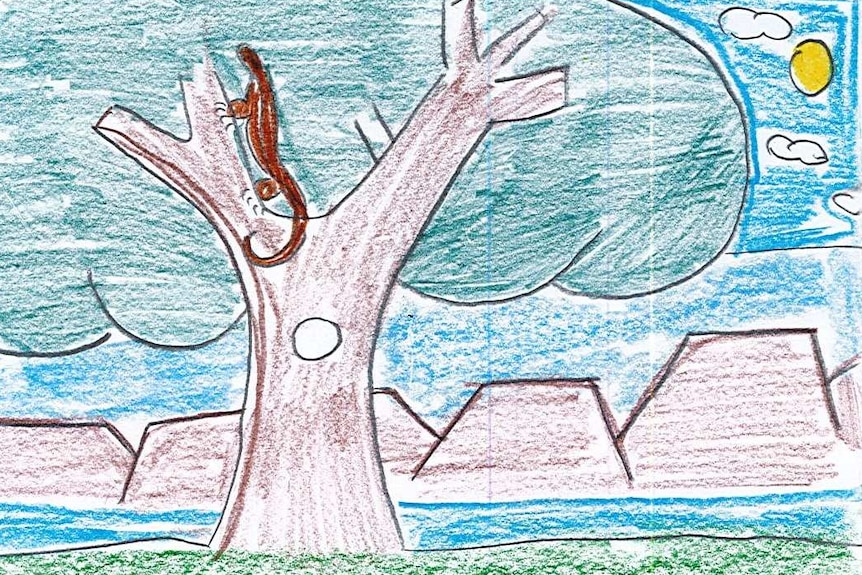 A child's drawing of tree with a goanna in it and red hills in background