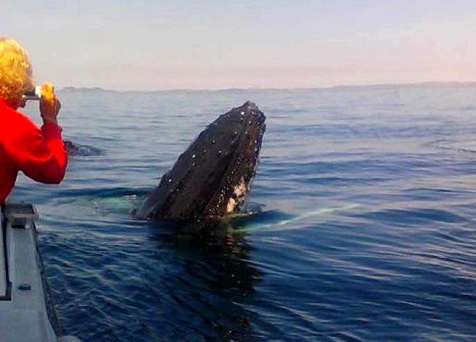 Tourist trap: are we ruining experiences by trying to get the perfect photo?