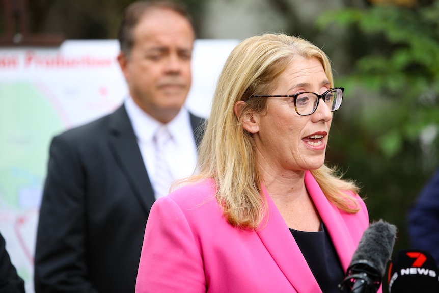 A mid-shot of Rita Saffioti in a pink jacket and spectacles speaking at a media conference outdoors.