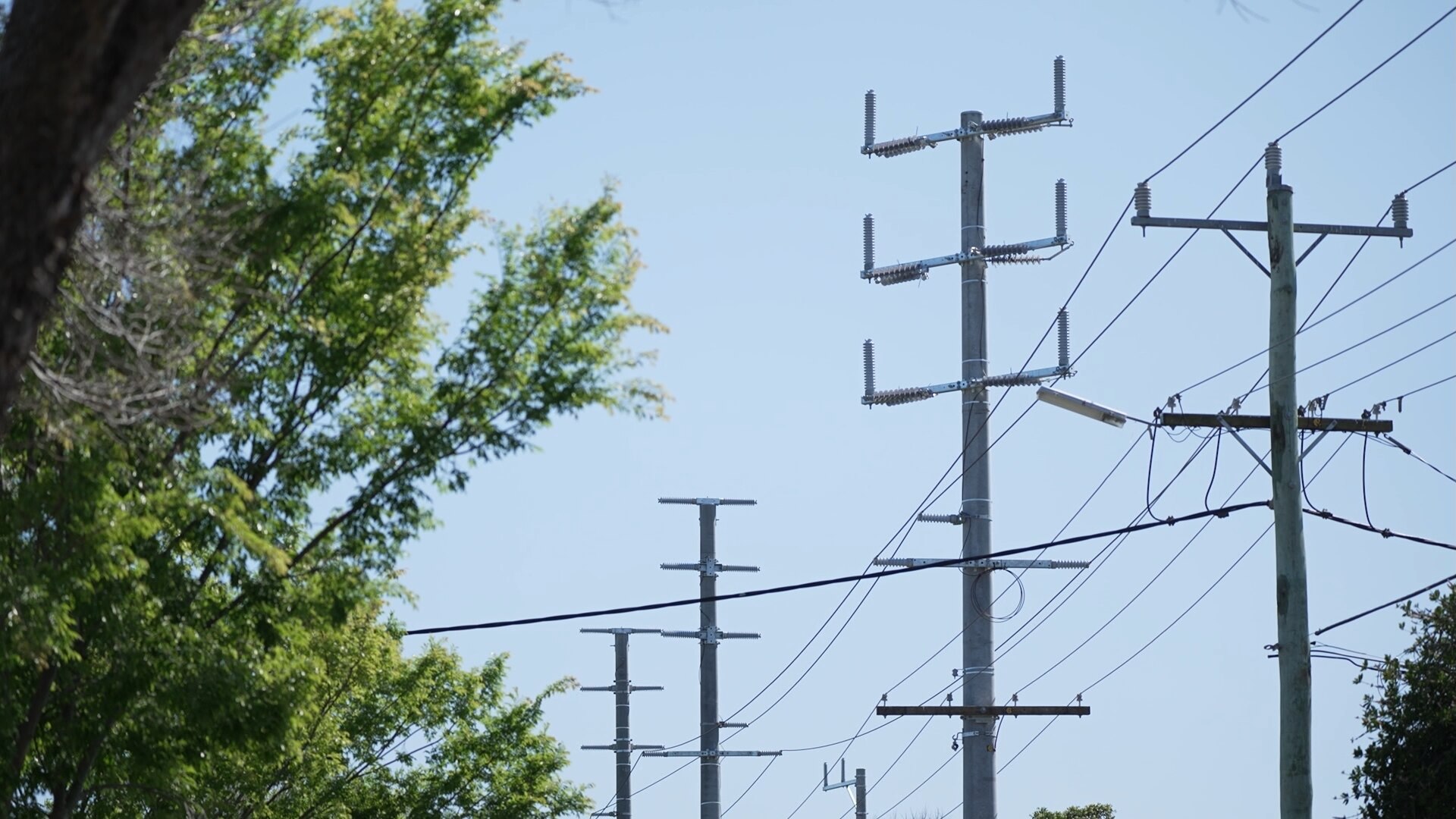 Power poles against a blue sky with trees to the left. 