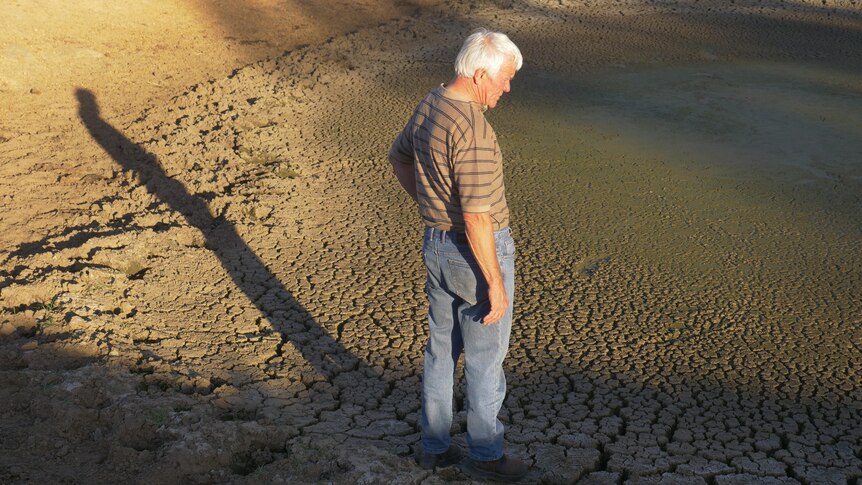 Northcliffe dairy farmer Wally Bettink standing in a cracking dry dam