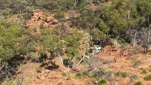 Remnants of a helicopter sits among trees and rocks