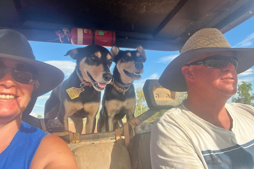 Brendan and Kristy Mills sit in a four-wheel-drive with two working dogs looking over their shoulders.