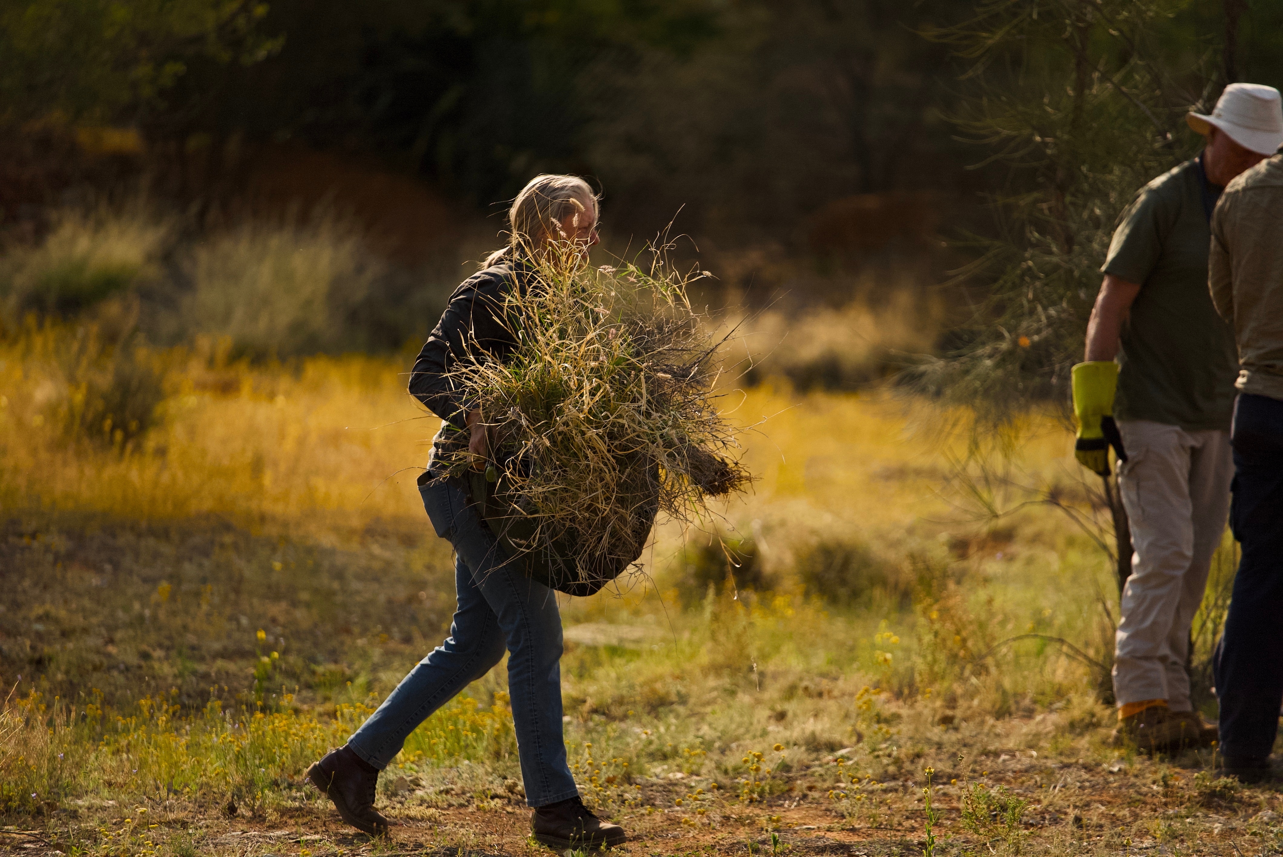 Una mujer sostiene un gran montón de hierba.