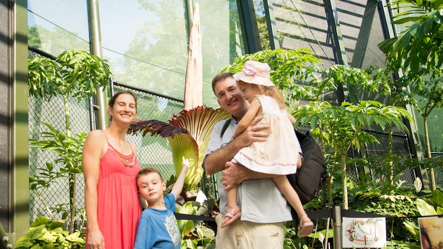 The Hunt family stands in front of the 282 centimetre tall corpse flower inside the Cairns Botanic Garden conservatory.