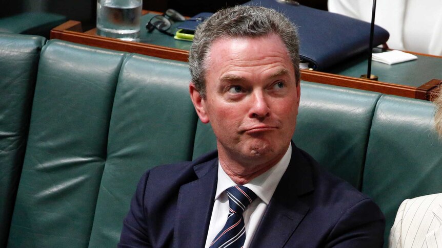 Christopher Pyne pulls a funny face in Question Time.