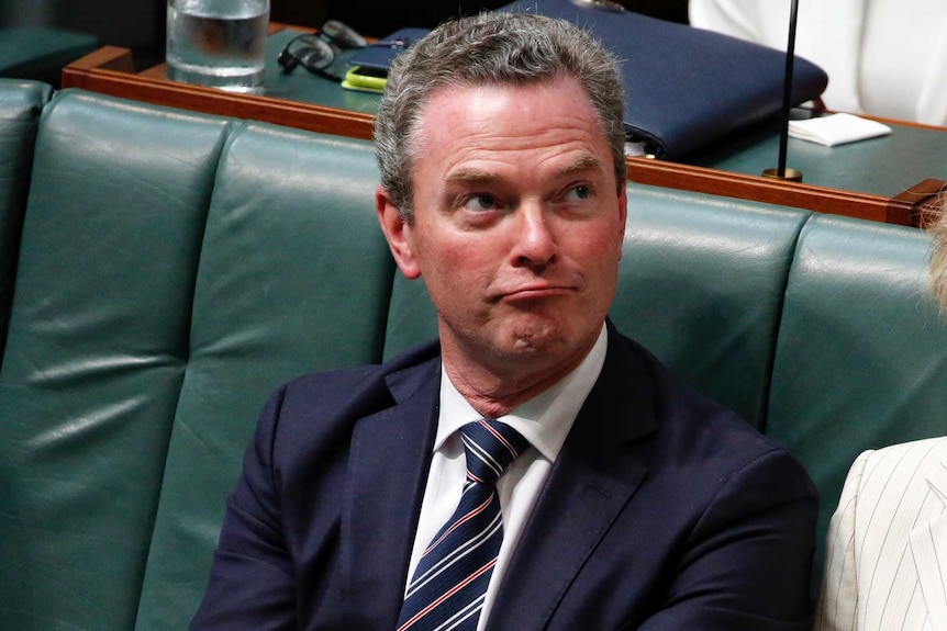 Christopher Pyne pulls a funny face in Question Time.