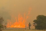 A firefighter fights flaring flames (file)
