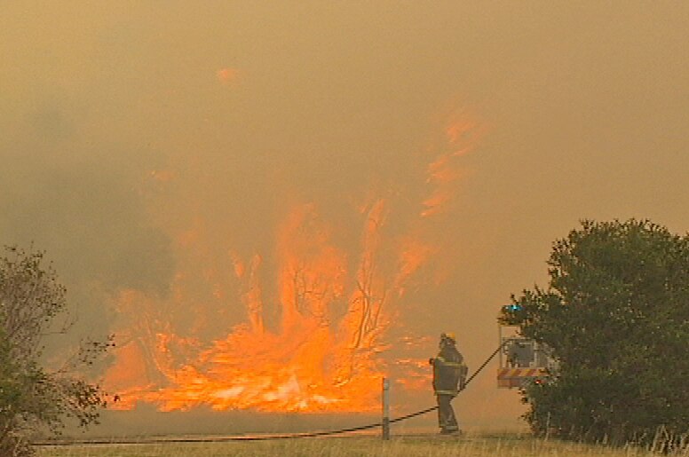 A WA firefighter with hose next to bush fights flaring flames